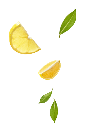 Illustration légumes
