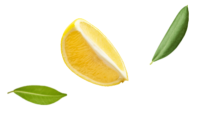 Illustration légumes