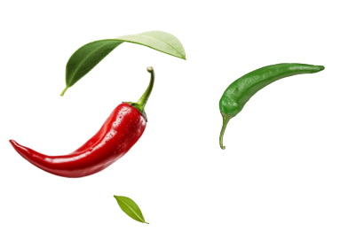 Illustration légumes
