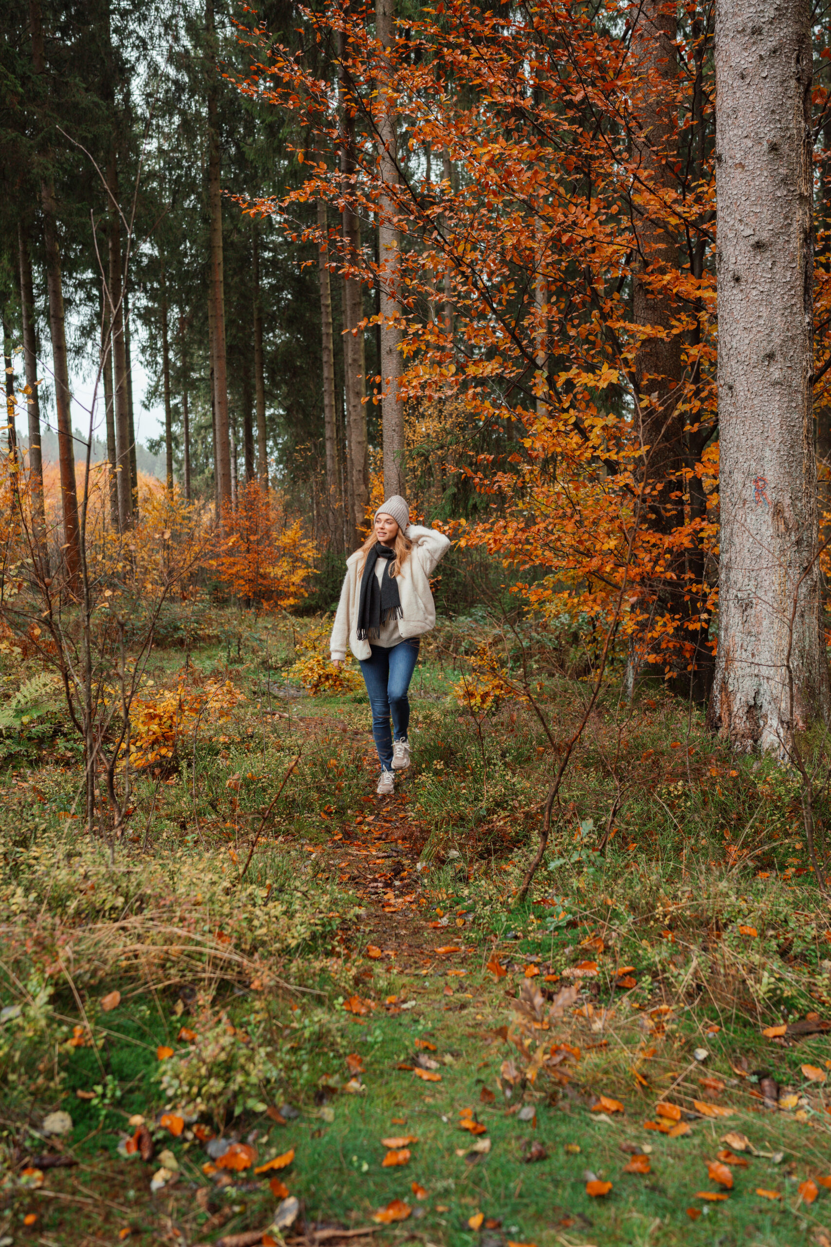 Illustration de la galerie